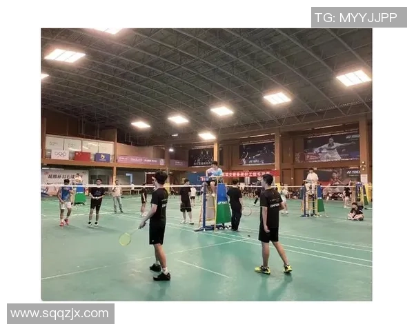 武汉羽毛球队与北京羽毛球队赛后复盘与经验总结分析