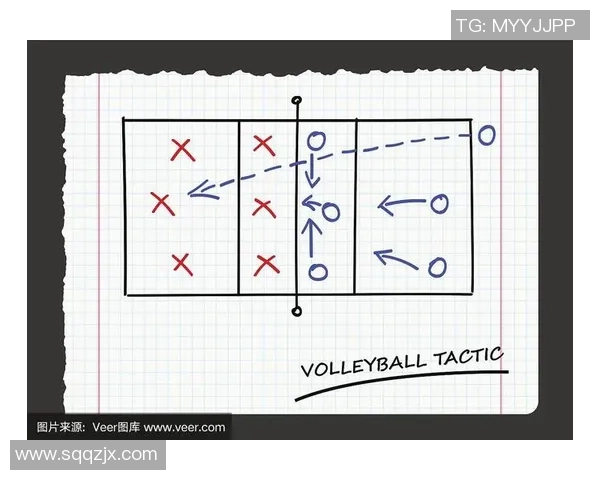南京排球队反击战术解析与实战应用探讨